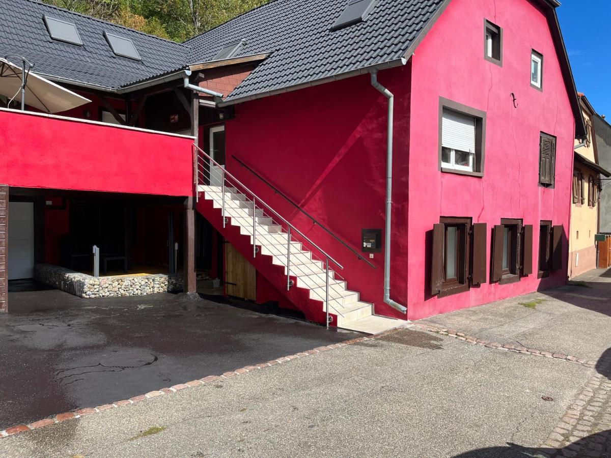 L'alsacienne Et Apartment *